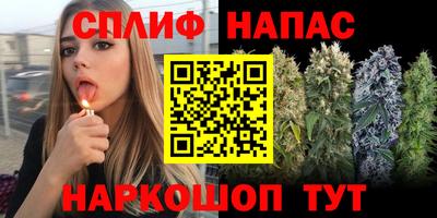 тгк Канаш