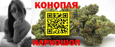 не бодяженный Камышлов